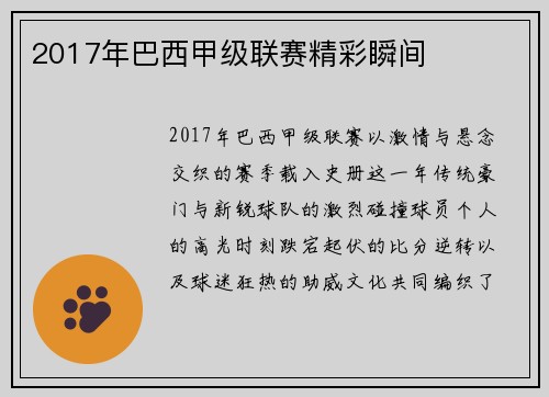 2017年巴西甲级联赛精彩瞬间